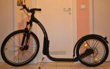 Kickbike D20.JPG