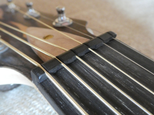 P1080320 (500x375).JPG